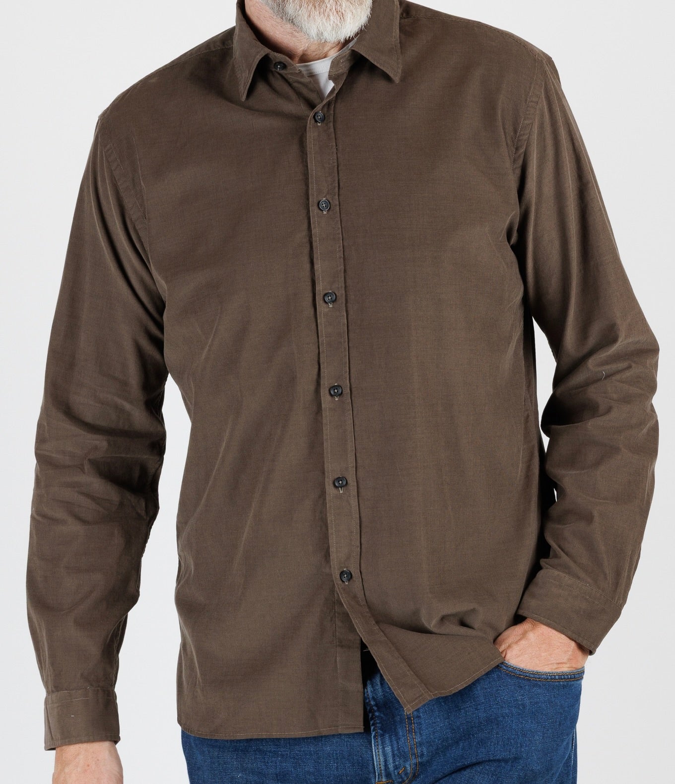 Xacus: Legacy in Baby corduroy