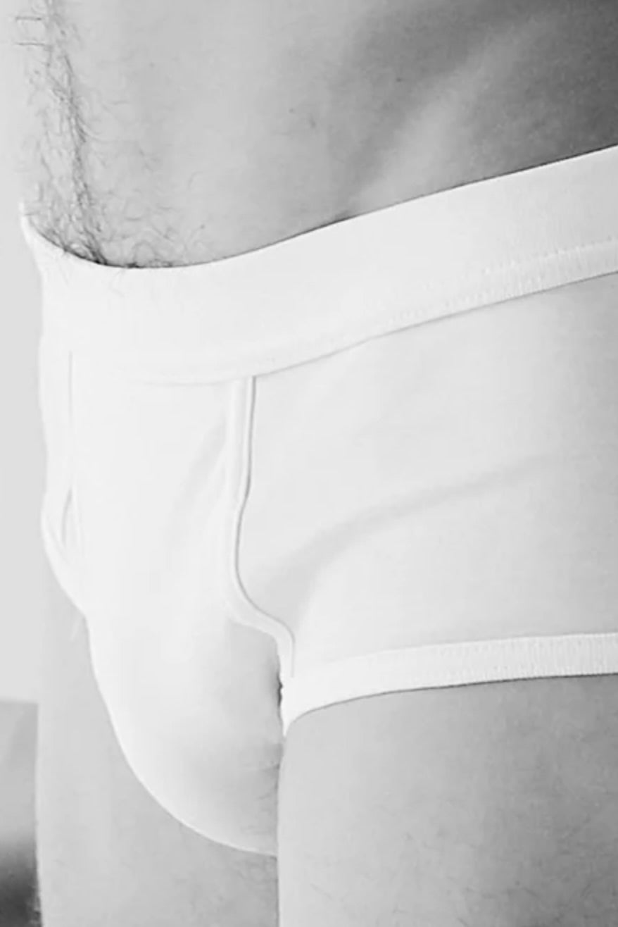 The White Briefs: Platan Briefs